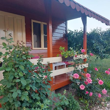 Pensiunea Raluca Mahmudia Exterior foto