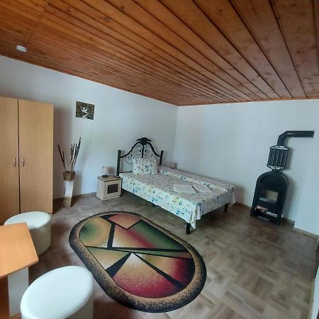 Pensiunea Raluca Mahmudia Exterior foto