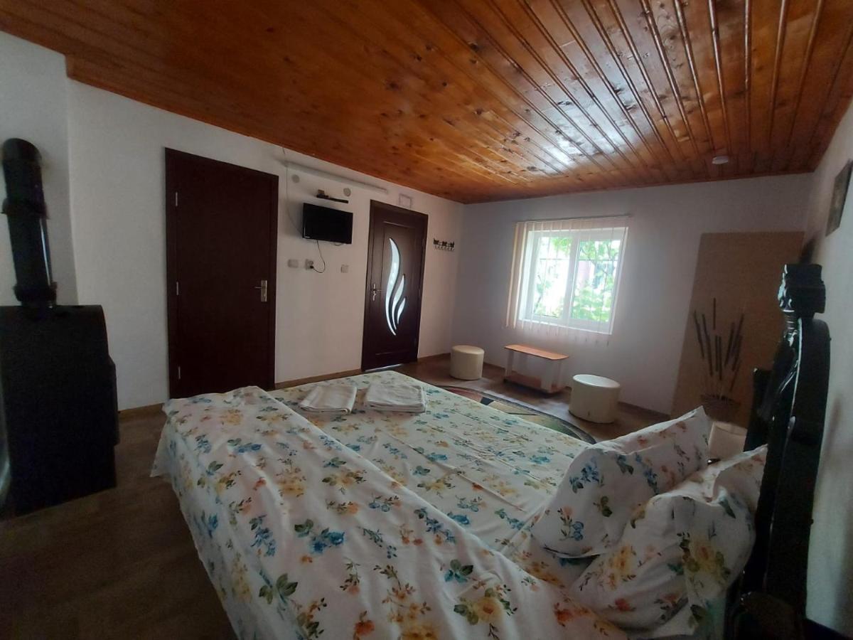 Pensiunea Raluca Mahmudia Exterior foto