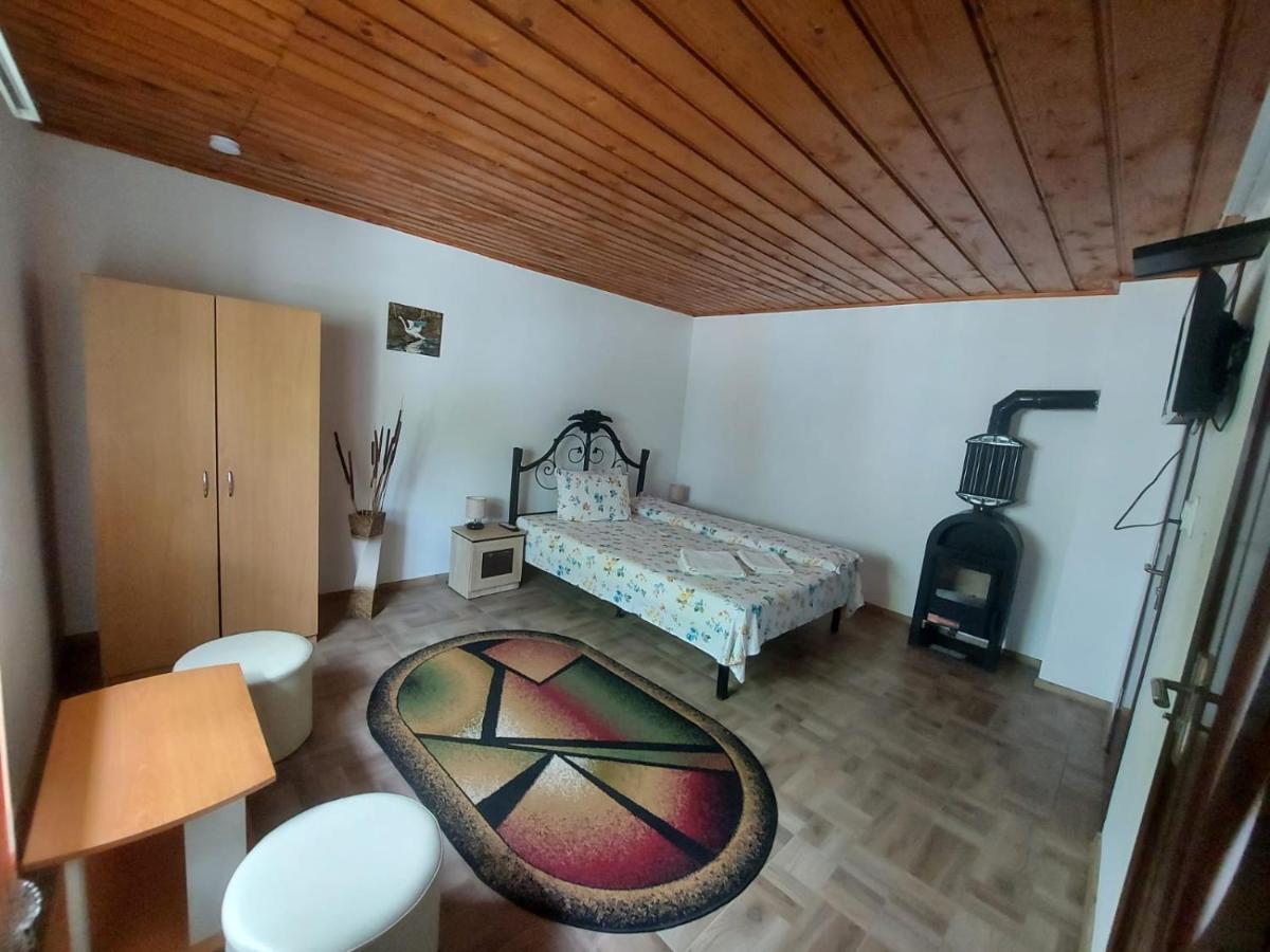 Pensiunea Raluca Mahmudia Exterior foto